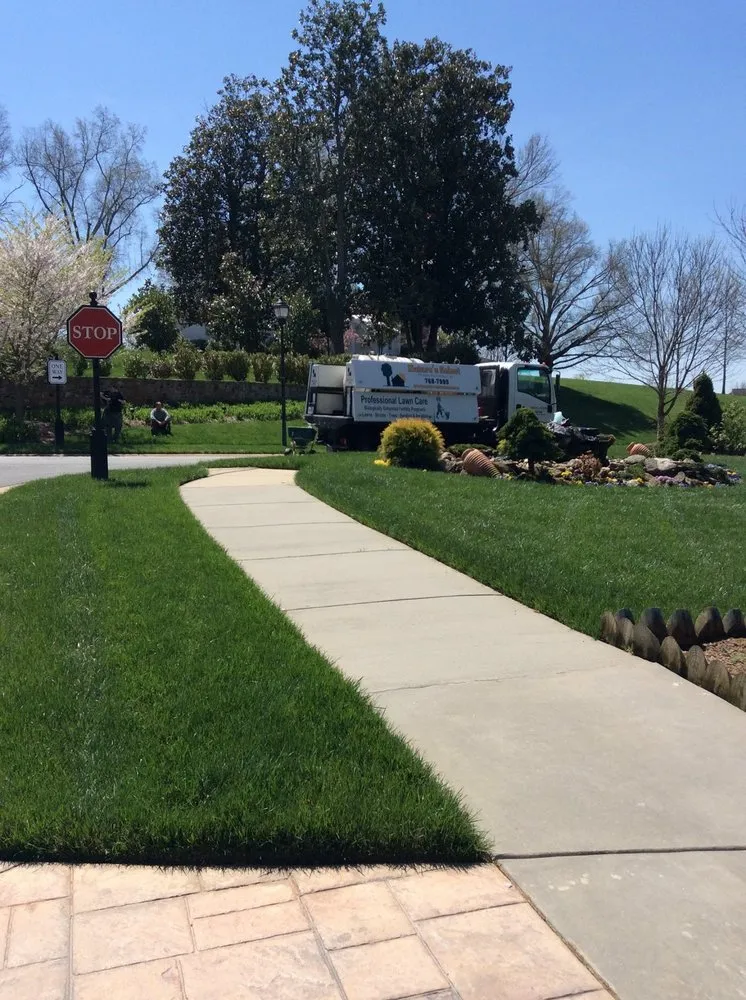 Reliable landscape installation in Winston-salem, NC by Nature's Select®