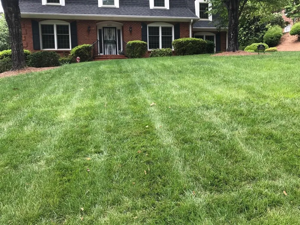 Top-rated outdoor landscaping for beautiful yards in Winston-salem, NC by Nature's Select®