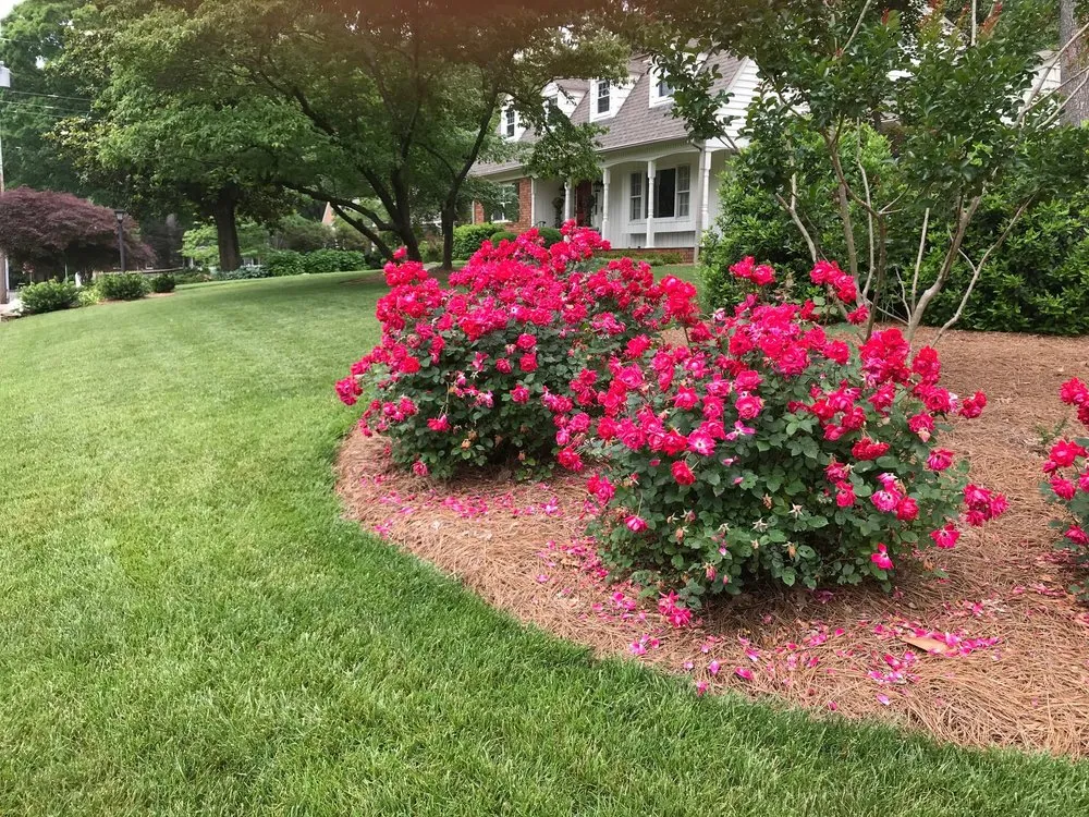 Reliable landscape design experts serving Winston-salem, NC - Nature's Select®
