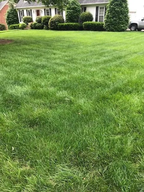 Local lawn care service experts serving Winston-salem, NC - Nature's Select®