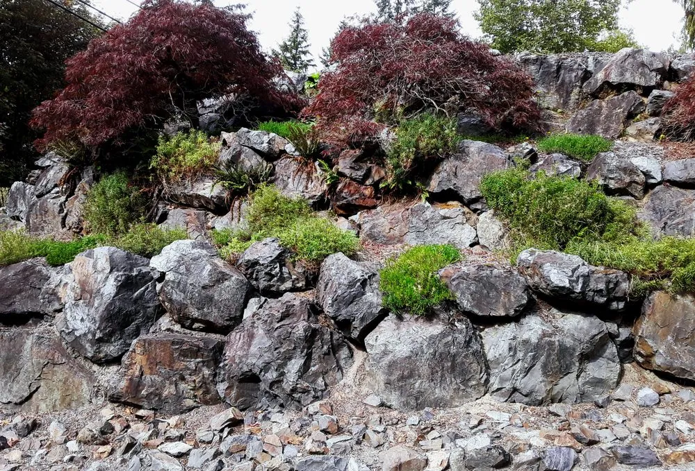 Professional garden landscaping for homes in Arlington, WA by Nature's Touch