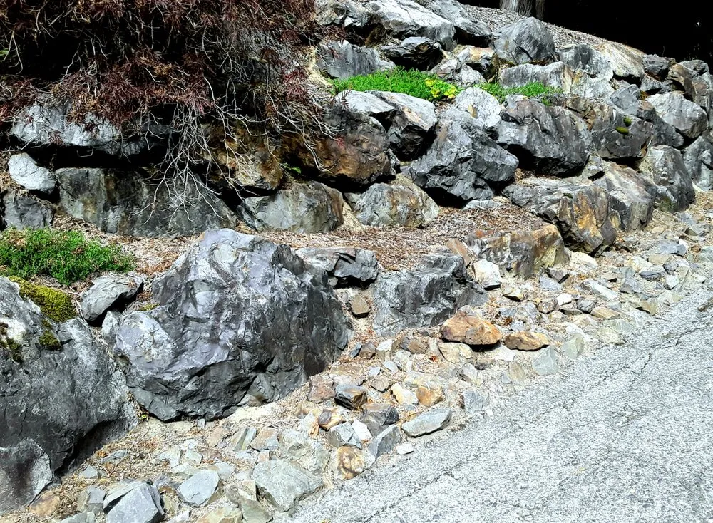 Reliable landscaping services for residential properties across Arlington, WA - Nature's Touch