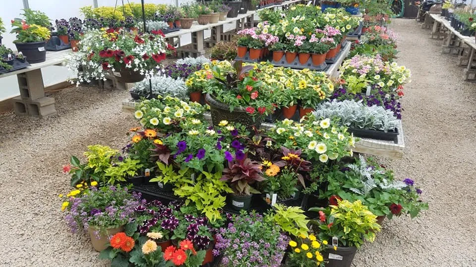 Custom yard cleanup service for homes in Janesville, WI by Nature's Touch