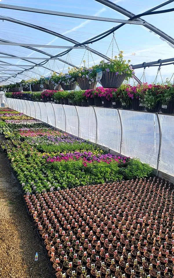 Professional landscape design in Janesville, WI by Nature's Touch