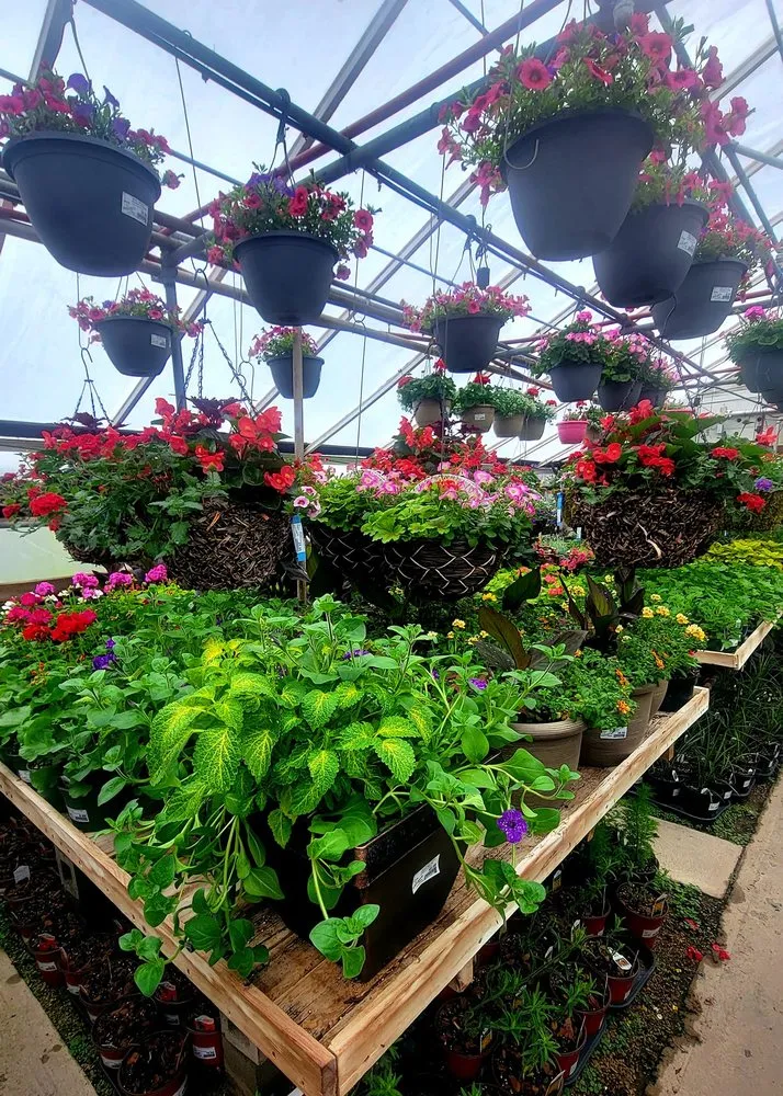 Affordable yard maintenance for residential properties in Janesville, WI by Nature's Touch