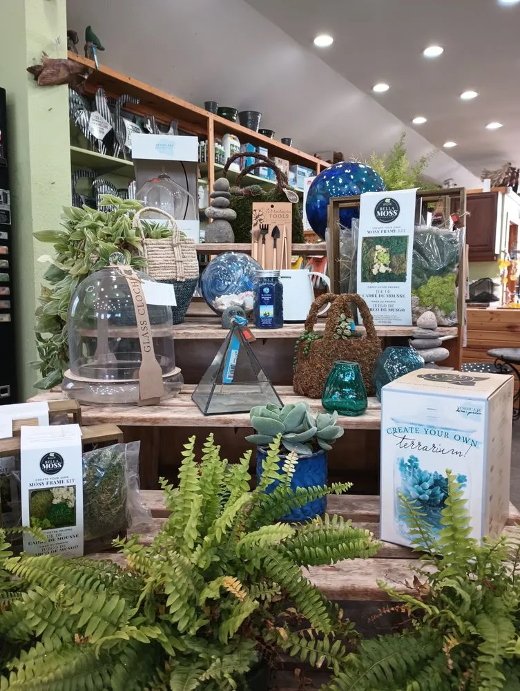 Affordable garden landscaping for beautiful yards across Janesville, WI - Nature's Touch