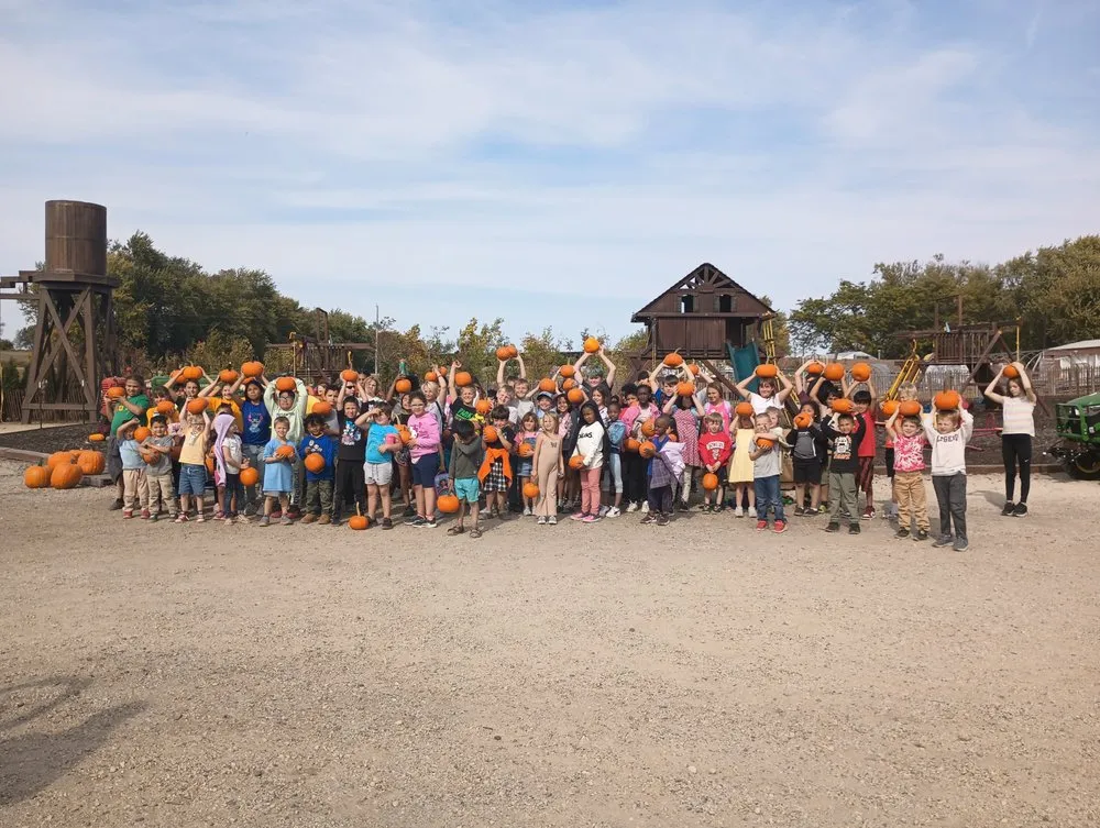 Expert landscape design in Janesville, WI - Nature's Touch