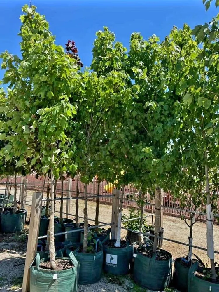 Reliable lawn care service in Janesville, WI - Nature's Touch