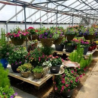 Reliable lawn mowing service experts serving Janesville, WI - Nature's Touch