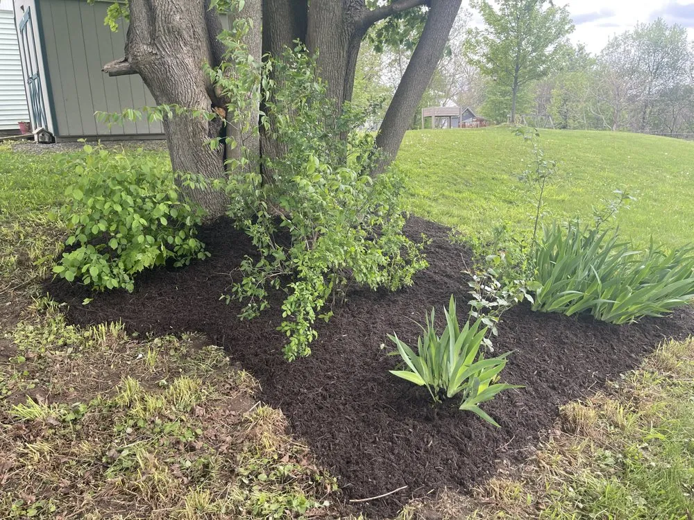 Professional lawn mowing service for residential properties across Clayton, NY - Nature’s Touch Landscapes