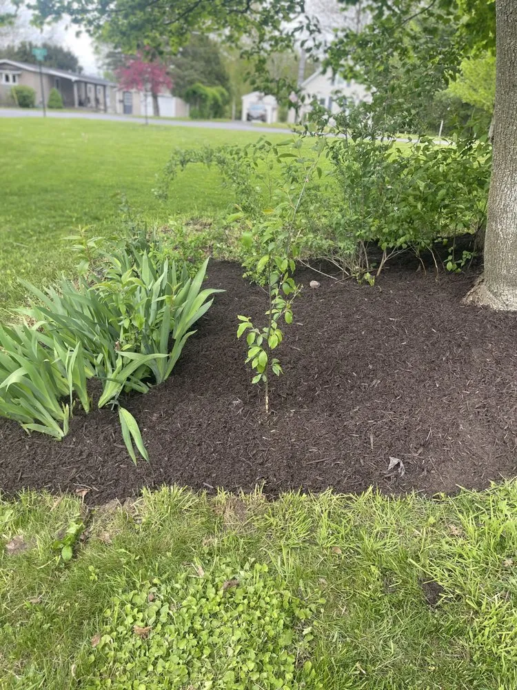 Affordable landscaping services in Clayton, NY - Nature’s Touch Landscapes