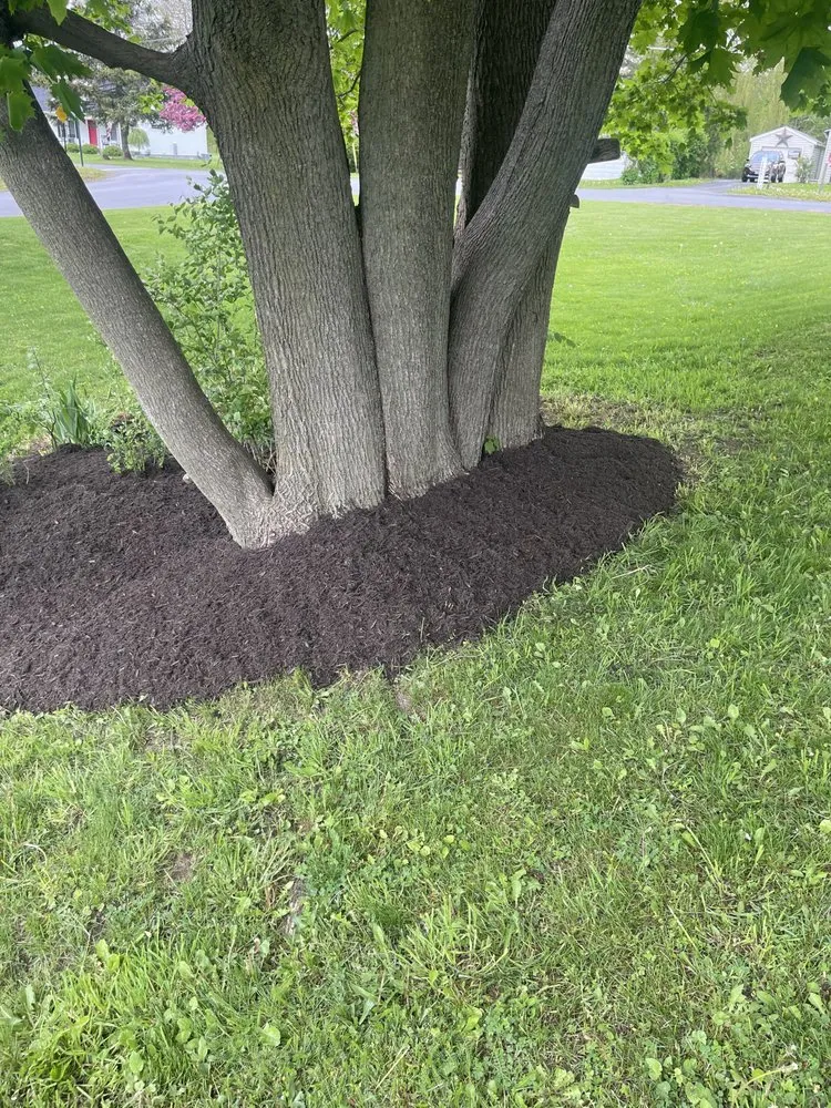 Affordable lawn care service for year-round maintenance in Clayton, NY by Nature’s Touch Landscapes