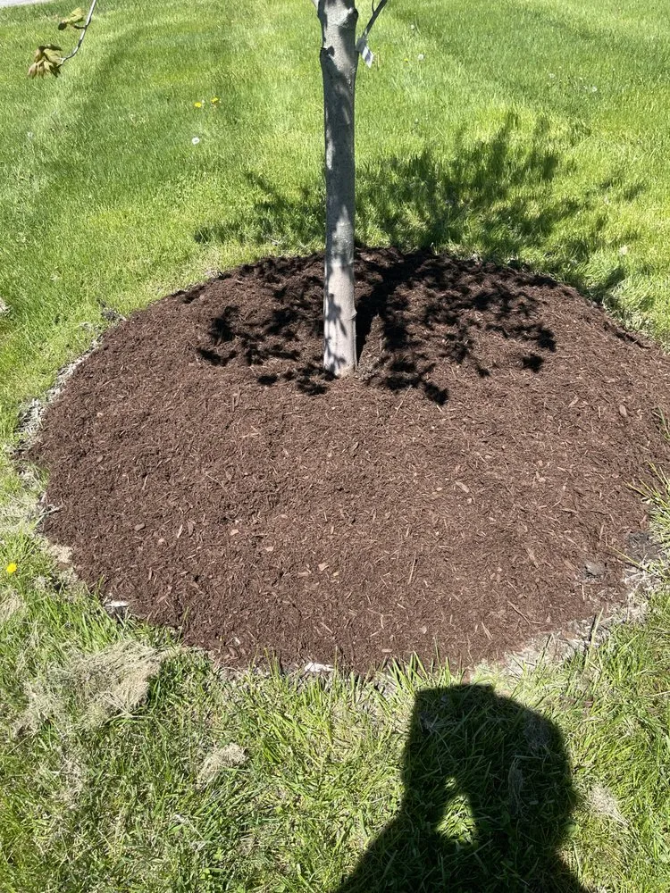 Top-rated outdoor landscaping with custom design in Clayton, NY by Nature’s Touch Landscapes