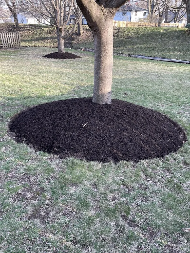 Top-rated landscape installation experts serving Aurora, IL - Nature’s Touch Landscaping