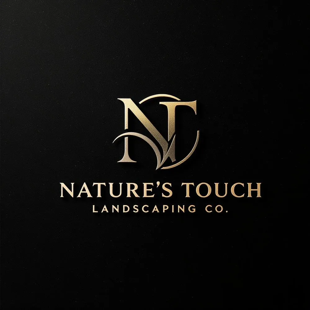 Expert yard maintenance in Modesto, CA - Natures Touch Landscaping
