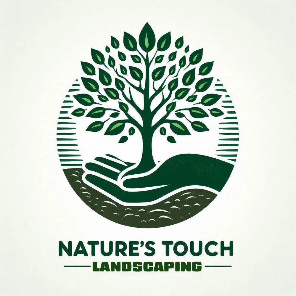 Expert yard cleanup service in Lee's Summit, MO - Nature’s Touch Lawn & Landscape