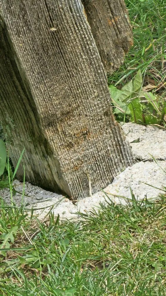 Expert yard maintenance in Lee's Summit, MO by Nature’s Touch Lawn & Landscape