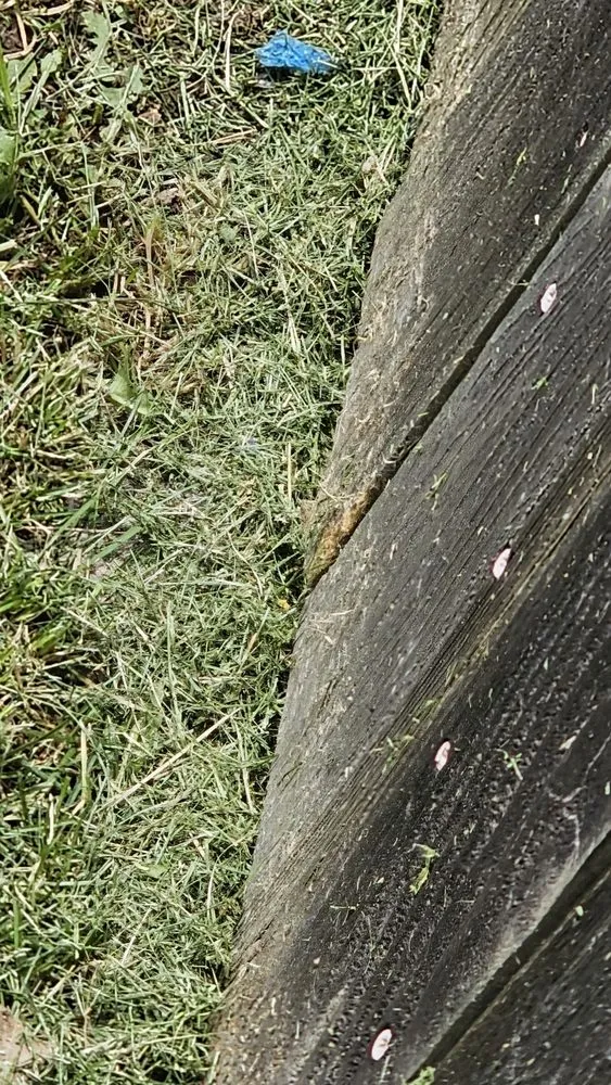 Local lawn mowing service in Lee's Summit, MO - Nature’s Touch Lawn & Landscape