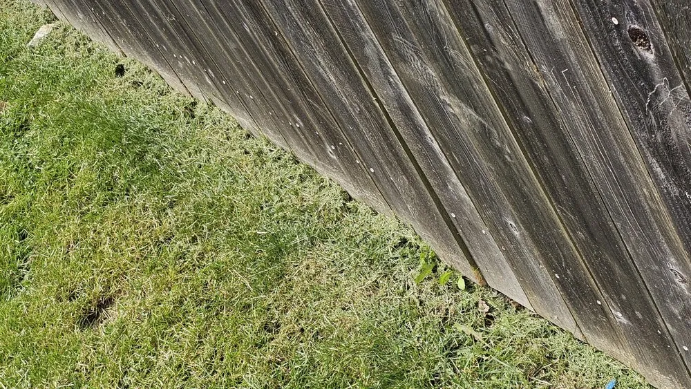 Affordable yard maintenance experts serving Lee's Summit, MO - Nature’s Touch Lawn & Landscape