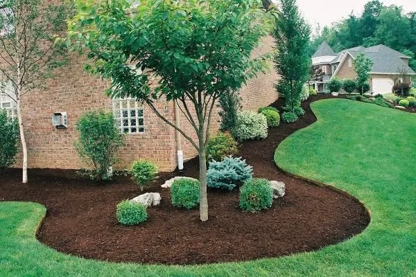 Top-rated landscaping services near you in Lee's Summit, MO by Nature’s Touch Lawn & Landscape