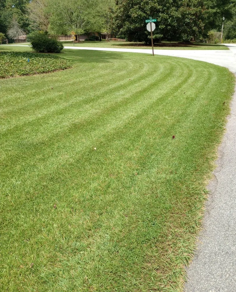 Top-rated residential landscaping experts serving Fayetteville, GA - Natures Touch Lawn Service