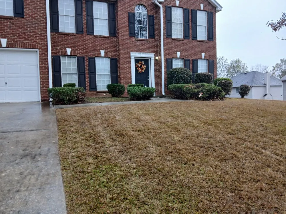 Professional yard cleanup service for beautiful yards across Fayetteville, GA - Natures Touch Lawn Service