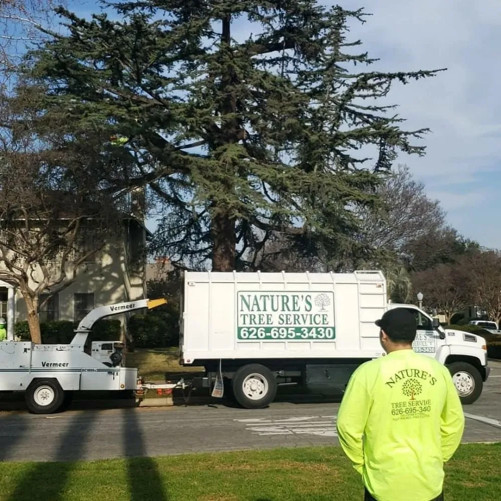 Top-rated outdoor landscaping in West Covina, CA - Nature's Tree Service