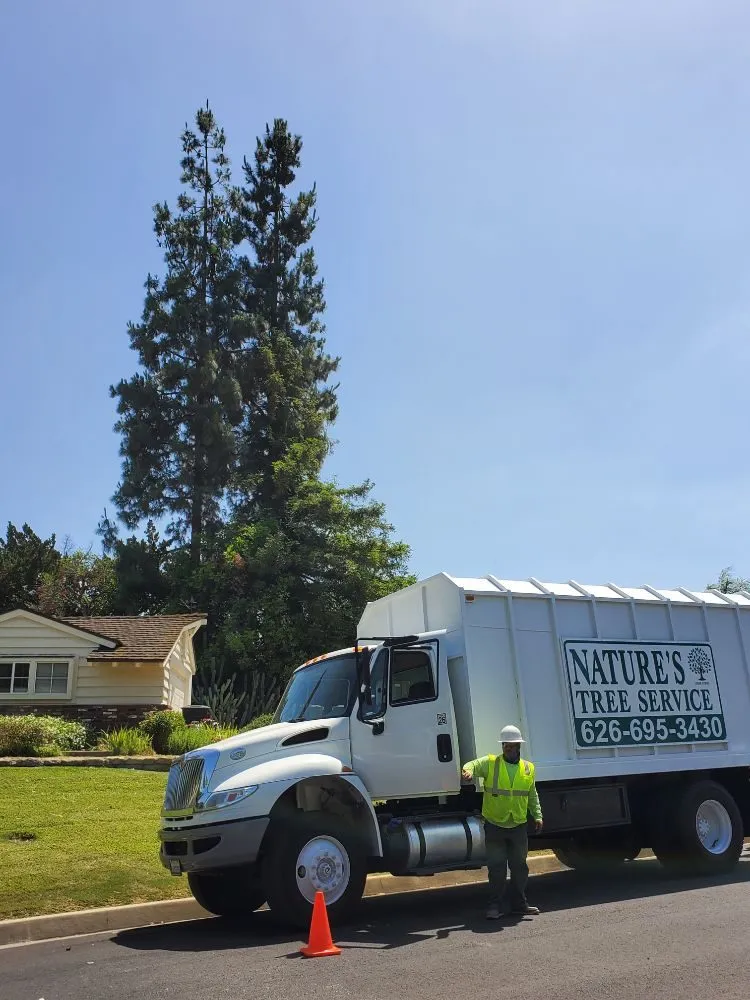 Professional lawn care service for year-round maintenance across West Covina, CA - Nature's Tree Service