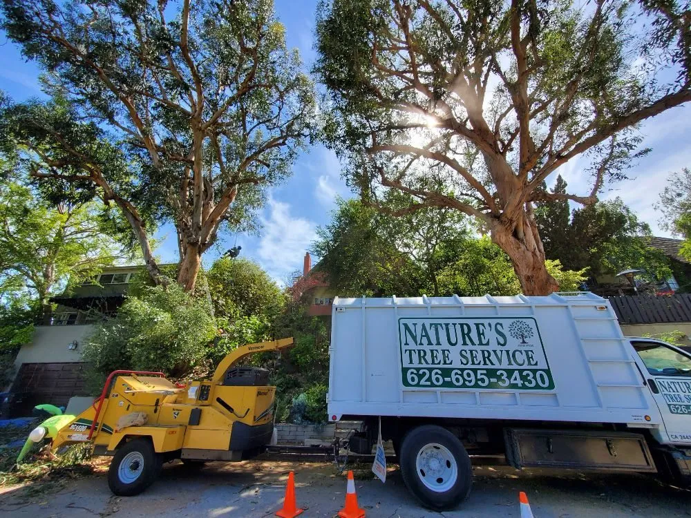 Trusted landscaping services experts serving West Covina, CA - Nature's Tree Service