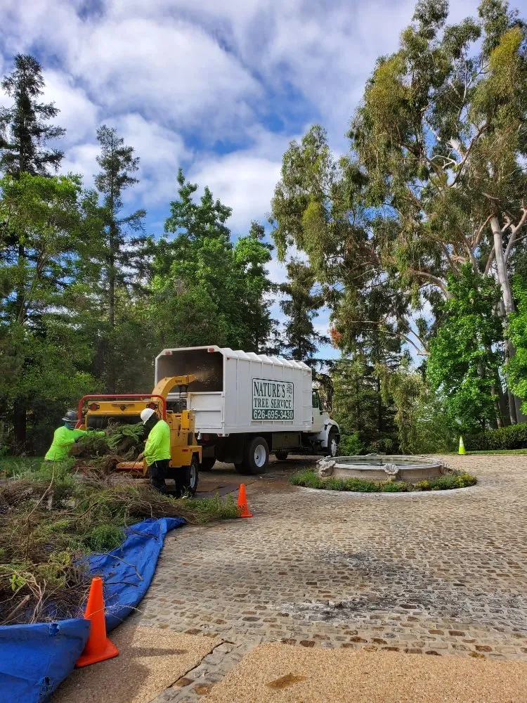Professional outdoor landscaping for residential properties across West Covina, CA - Nature's Tree Service
