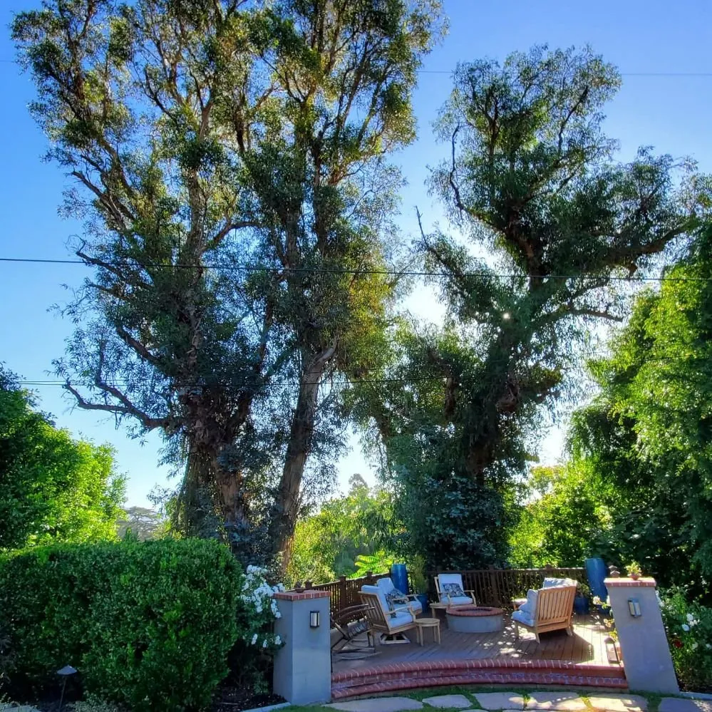 Expert landscaping services experts serving West Covina, CA - Nature's Tree Service