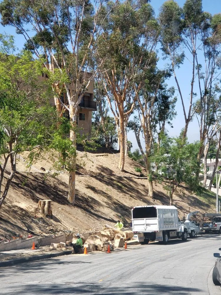 Trusted lawn care service in West Covina, CA by Nature's Tree Service