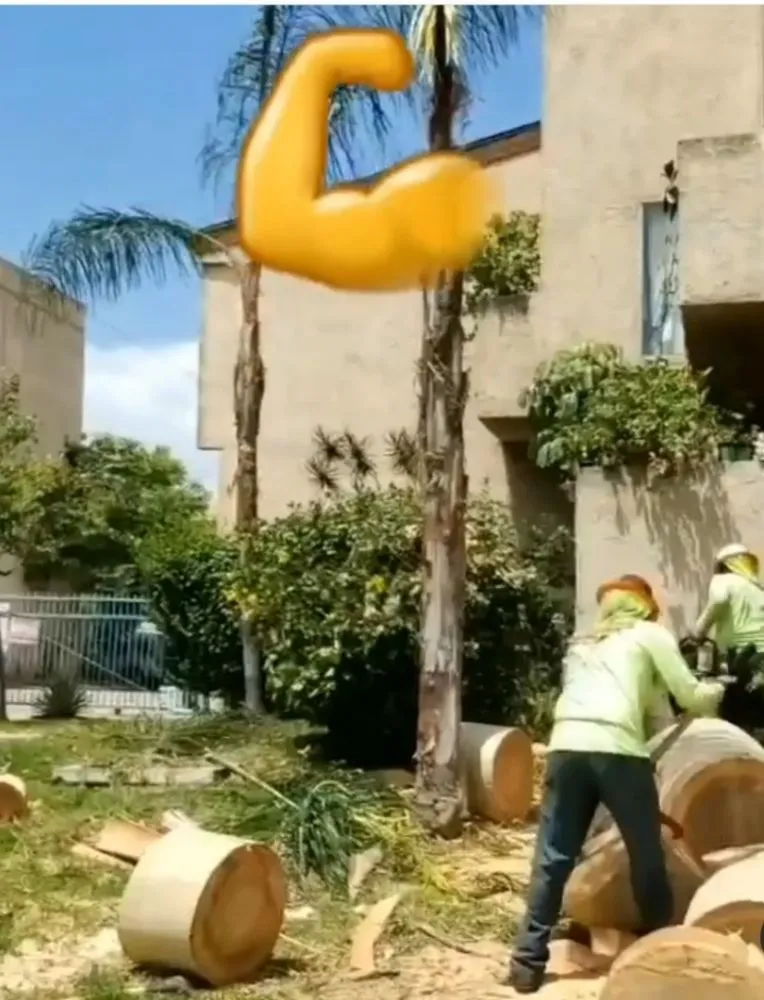 Top-rated outdoor landscaping in West Covina, CA by Nature's Tree Service