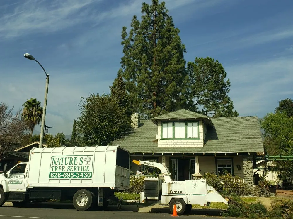 Reliable garden landscaping with custom design across West Covina, CA - Nature's Tree Service