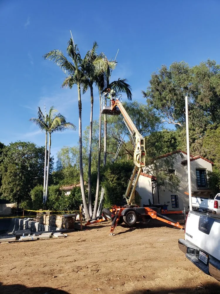 Trusted yard maintenance experts serving West Covina, CA - Nature's Tree Service