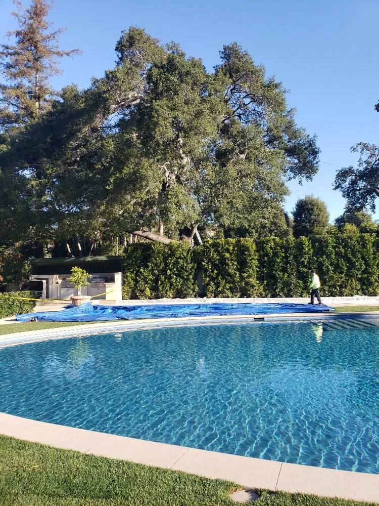 Reliable landscape design in West Covina, CA - Nature's Tree Service