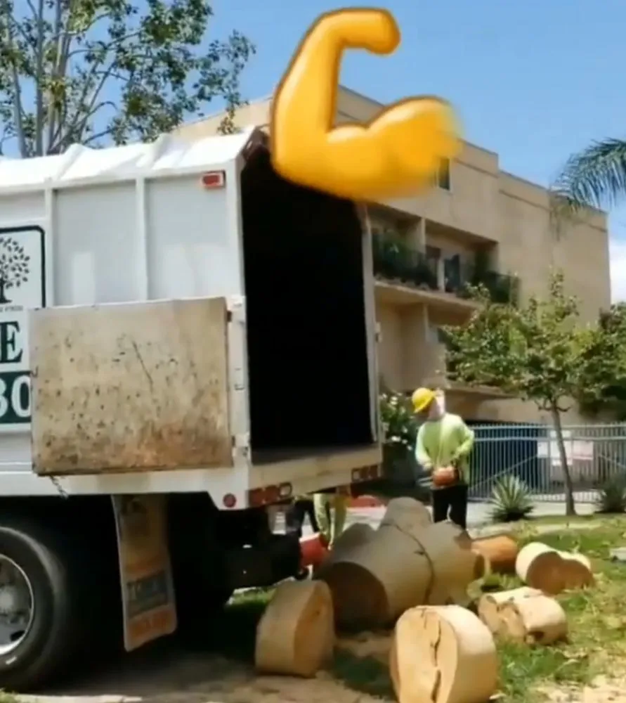 Custom yard maintenance in West Covina, CA - Nature's Tree Service