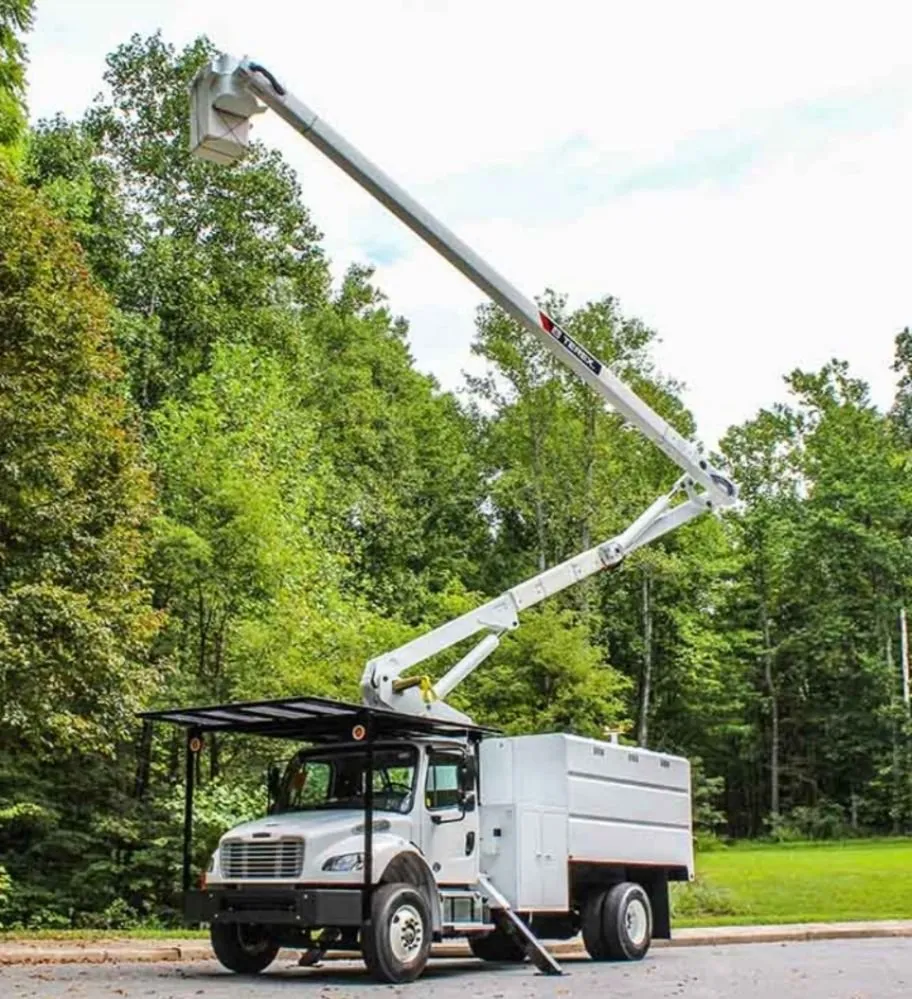 Expert yard maintenance in West Covina, CA - Nature's Tree Service