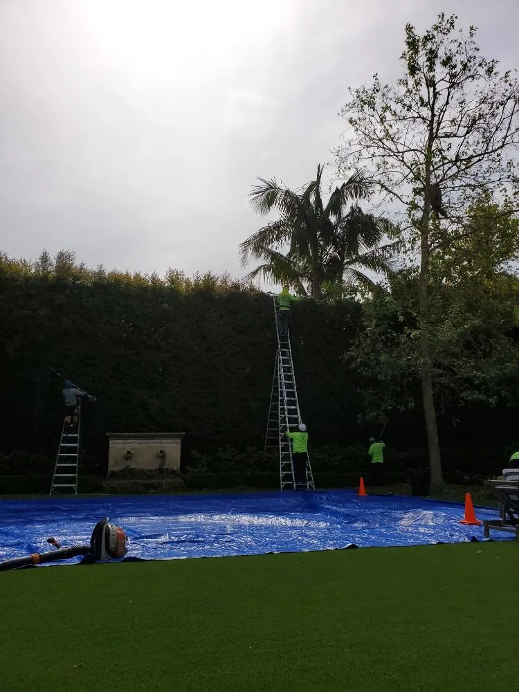 Custom landscape installation in West Covina, CA - Nature's Tree Service