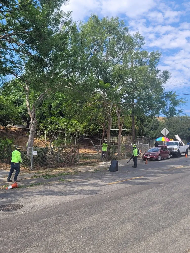 Custom lawn care service with custom design across Pasadena, CA - Nature’s Tree Services