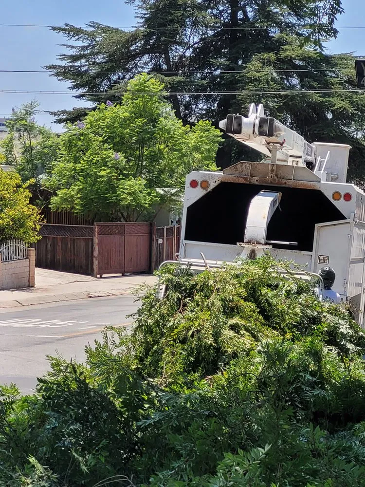 Local outdoor landscaping experts serving Pasadena, CA - Nature’s Tree Services