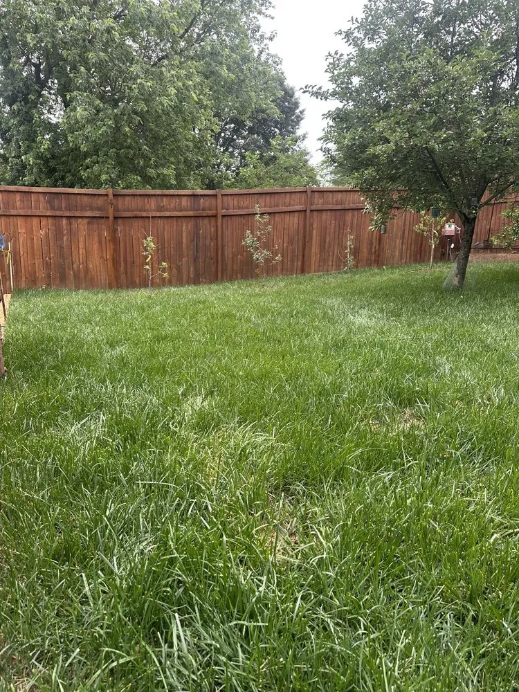 Expert outdoor landscaping for outdoor upgrades in Lynchburg, VA by Nature's Trim