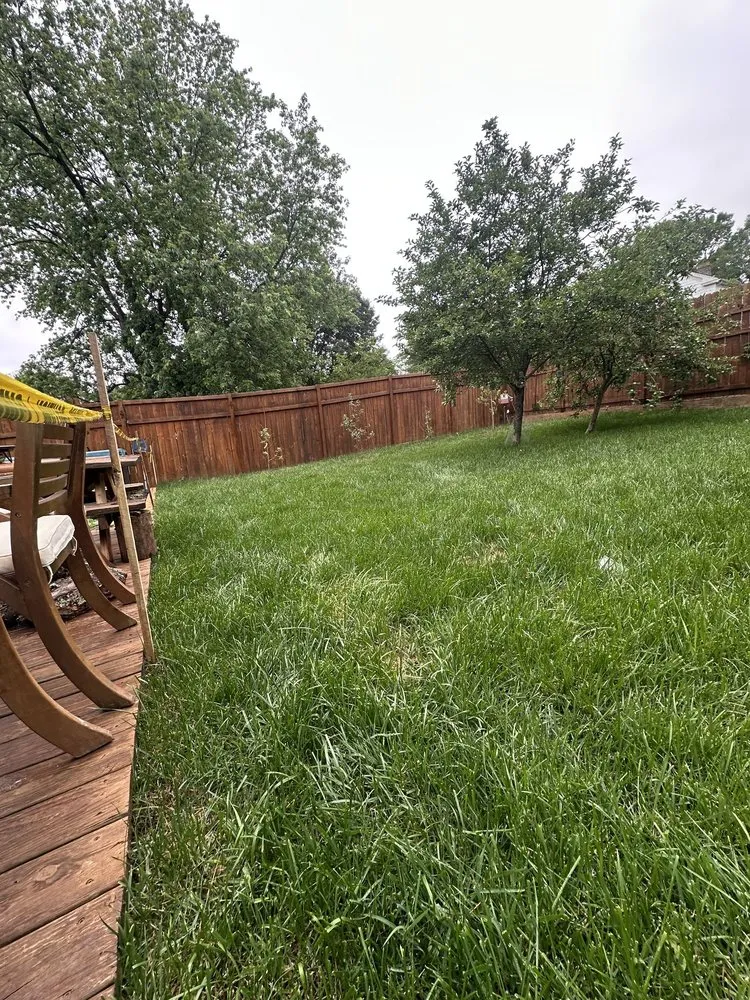 Trusted residential landscaping in Lynchburg, VA - Nature's Trim