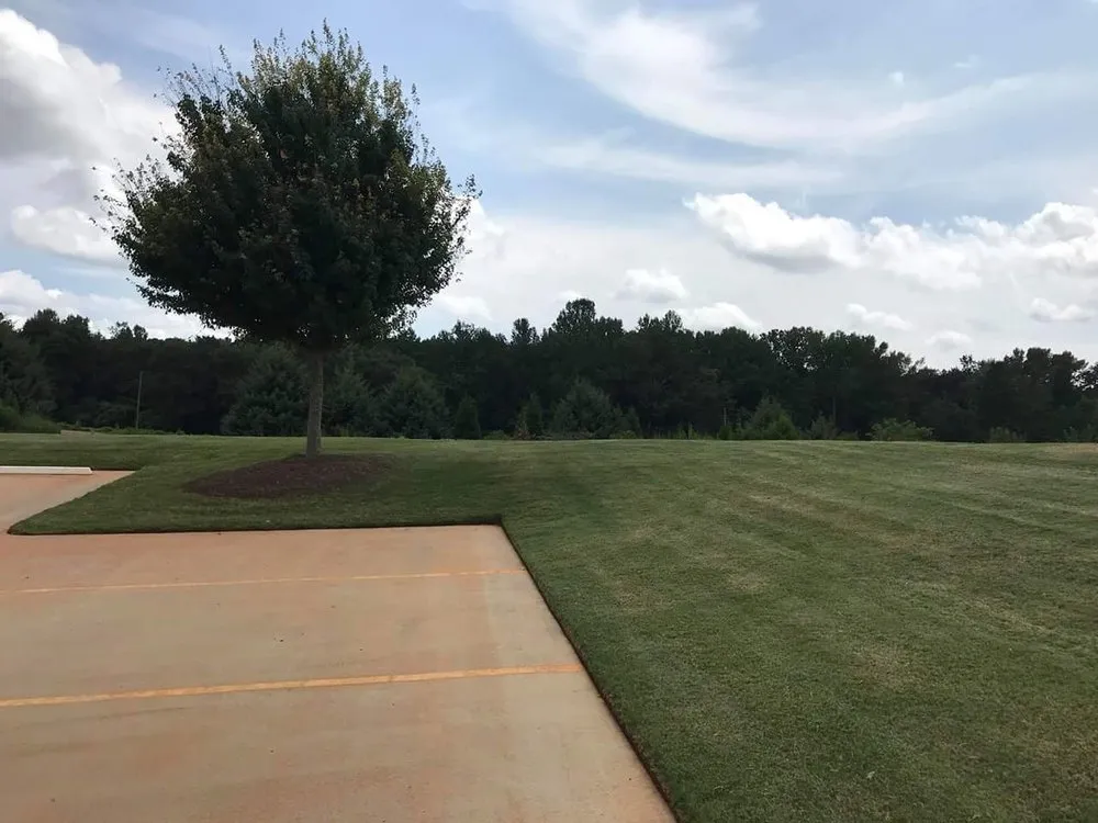 Professional lawn care service in Fayetteville, GA by Nature's Turf