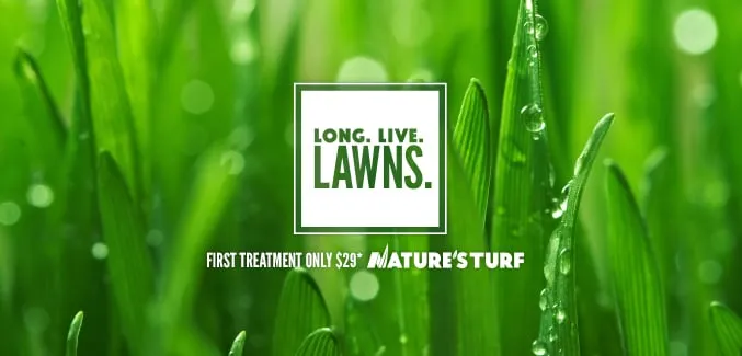 Professional landscape design in Fayetteville, GA by Nature's Turf