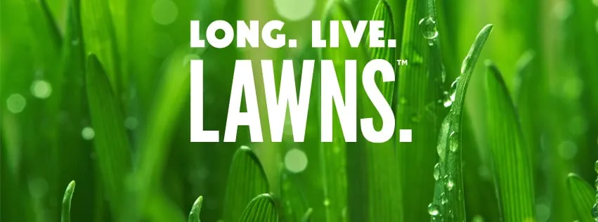 Local yard maintenance experts serving Fayetteville, GA - Nature's Turf