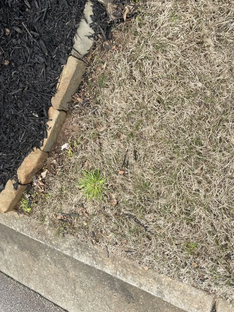 Local landscape design experts serving Fayetteville, GA - Nature's Turf