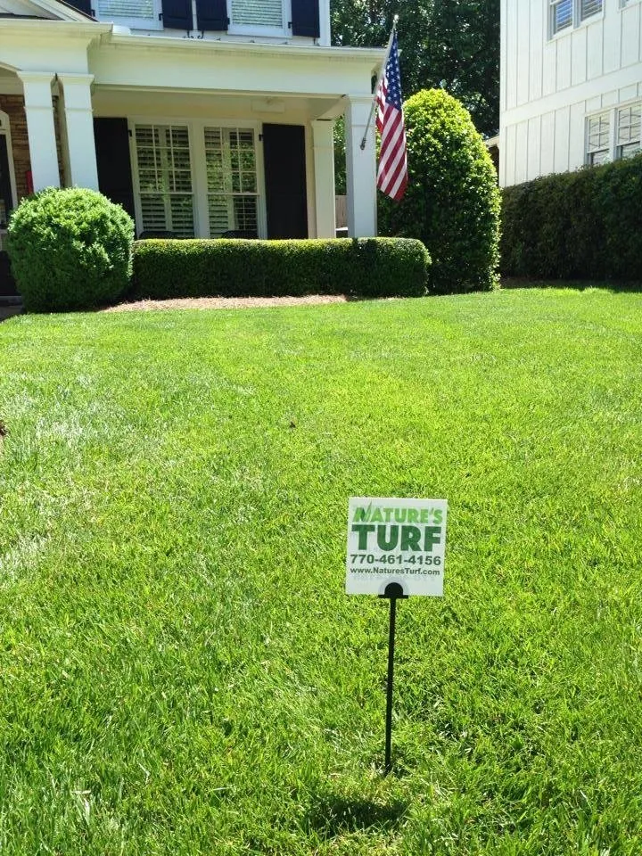 Top-rated lawn mowing service experts serving Fayetteville, GA - Nature's Turf
