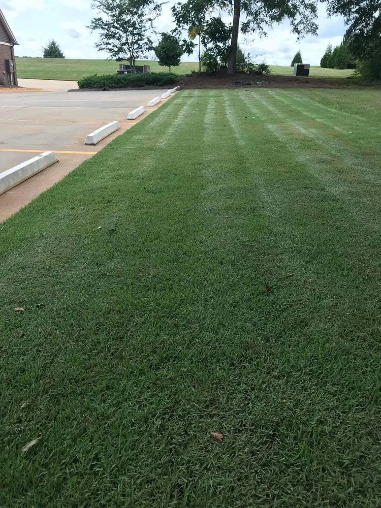 Trusted residential landscaping experts serving Fayetteville, GA - Nature's Turf