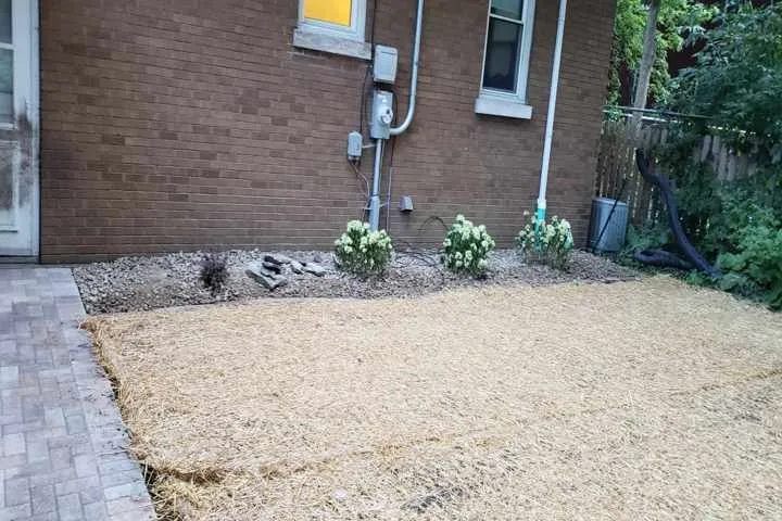 Reliable landscaping services for outdoor upgrades across Peotone, IL - Nature's Turf